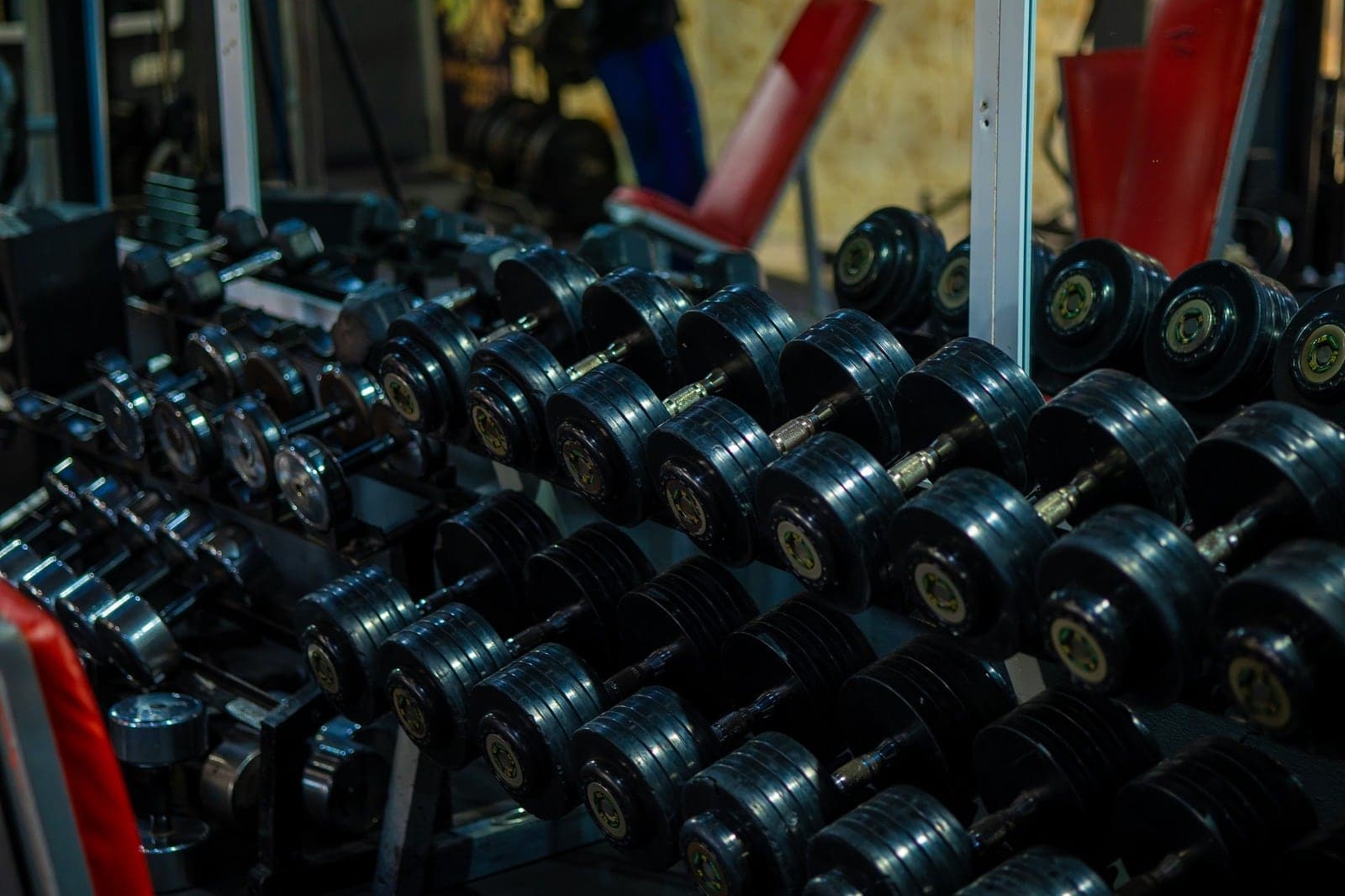 Rows of dumbbells in front of mirrors on the Fit & Fine gym floor