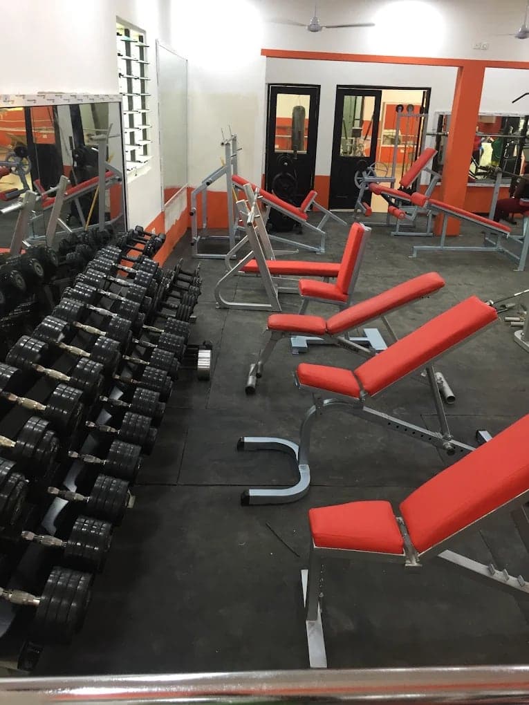 Overview of dumbbells and benches in the free-weight area